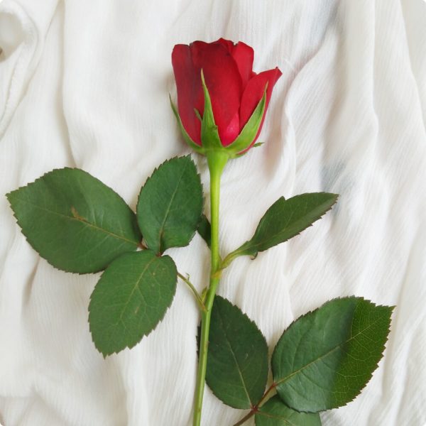 Diseños florales personalizados - Imagen 2