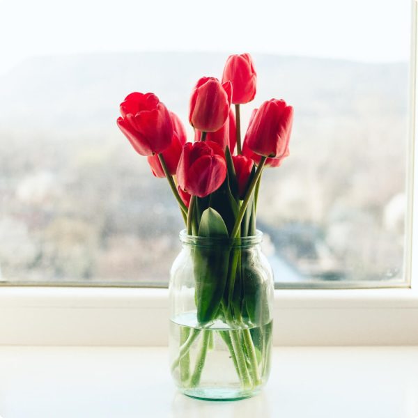 flor de tulipán - Imagen 2