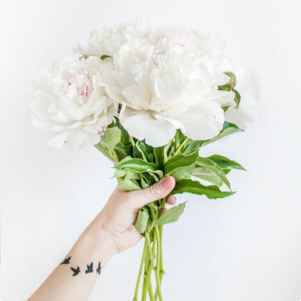 ramo de flores blancas