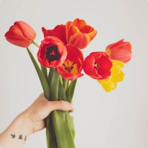 Flor de tulipán